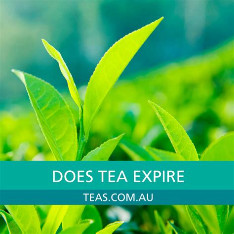 do tea leaves expire